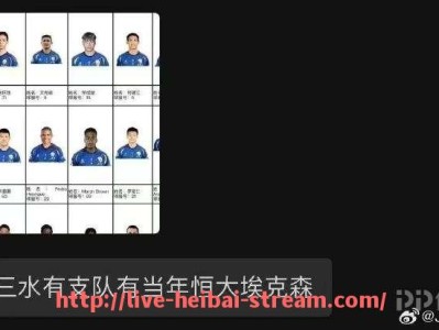 黑白体育直播-2024年FIBA 3×3篮球世界巡回赛顶级选手风格与比赛节奏剖析