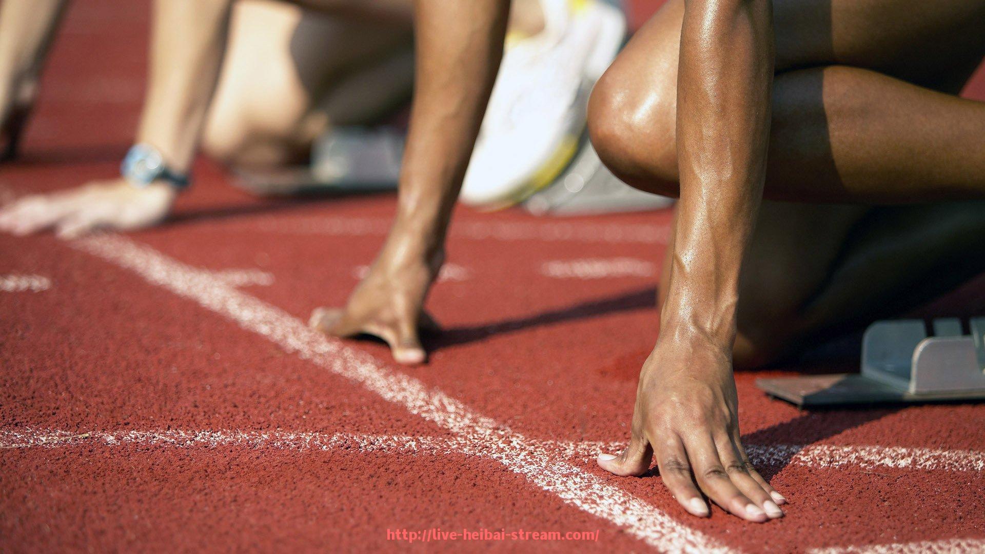 黑白体育直播-最新欧冠直播资源汇总，畅享高清赛事体验